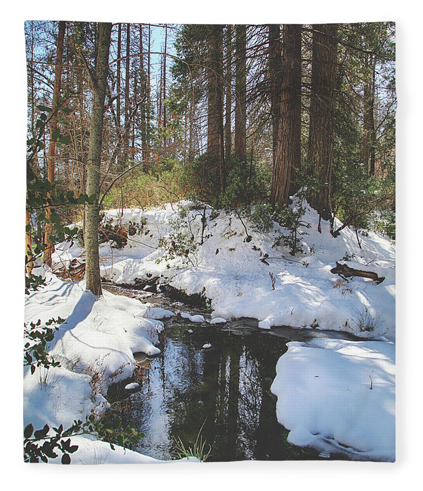 Snow Fleece Blanket featuring the photograph All That We've Been Through by Laurie Search