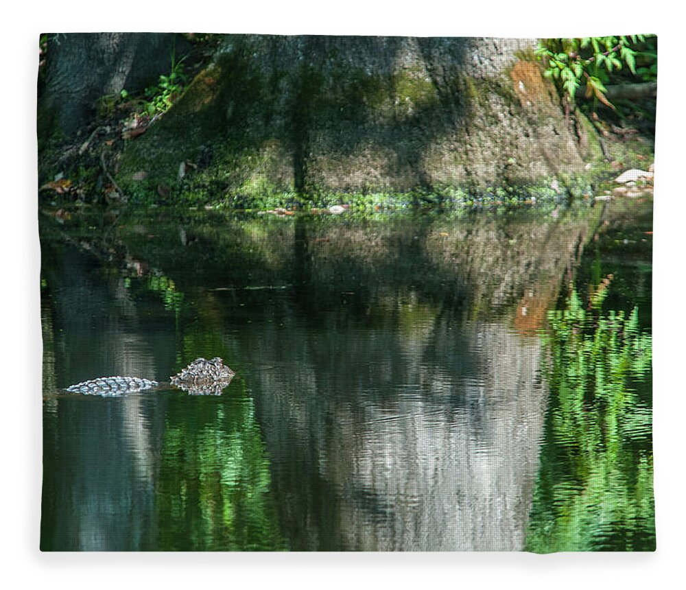Alligator Fleece Blanket featuring the photograph Alligator Canal by Brian Green