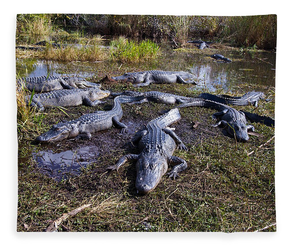 Nature Fleece Blanket featuring the photograph Alligators 280 by Michael Fryd
