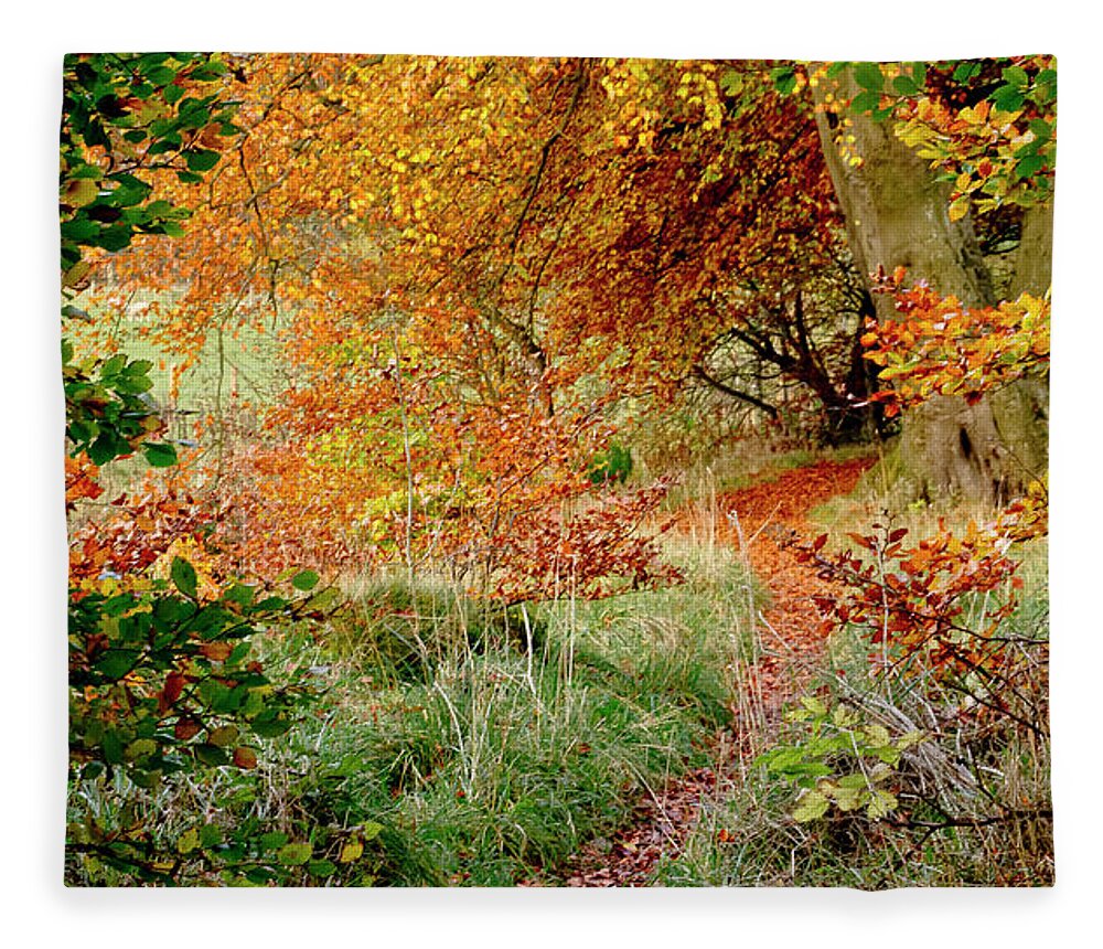 Alluring Fleece Blanket featuring the photograph Alluring trail under the fall canopy by Elena Perelman