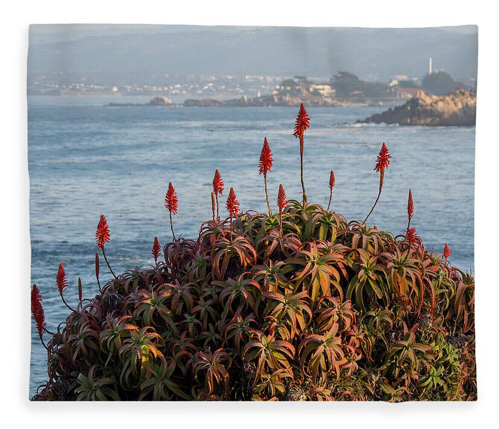 Aloe Fleece Blanket featuring the photograph Aloe Over Monterey by Derek Dean