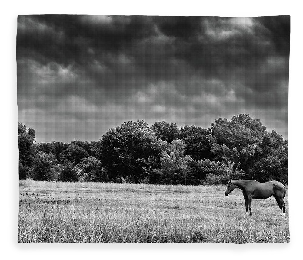 Jay Stockhaus Fleece Blanket featuring the photograph Alone by Jay Stockhaus