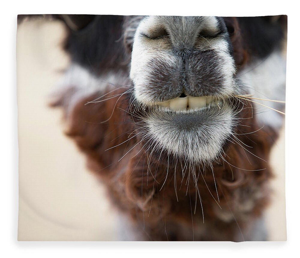 Alpaca Fleece Blanket featuring the photograph Alpaca #1 by Rebecca Cozart