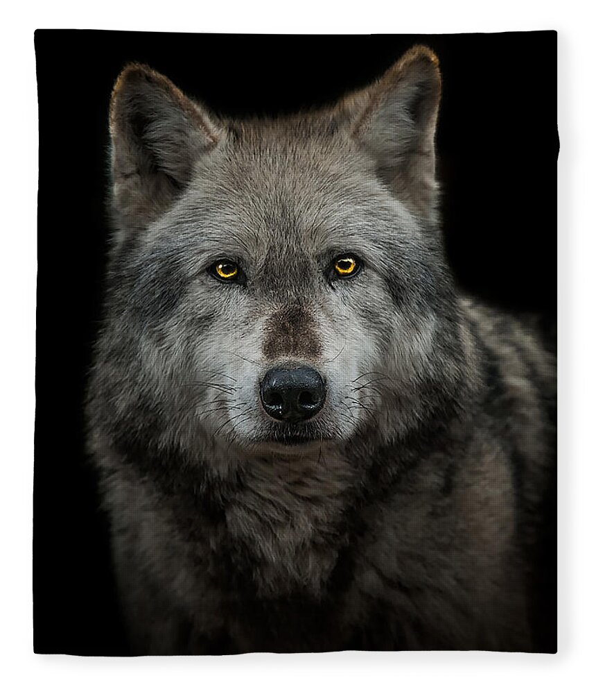 Alpha Fleece Blanket featuring the photograph Alpha Male by Paul Neville