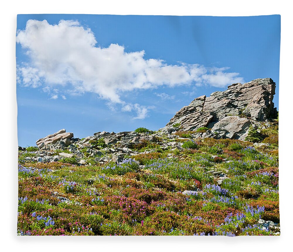 Alpine Fleece Blanket featuring the photograph Alpine Rock Garden by Jeff Goulden