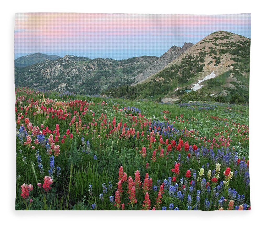 Landscape Fleece Blanket featuring the photograph Alpine Wildflowers and View at Sunset by Brett Pelletier