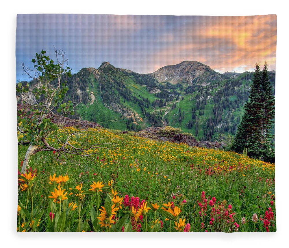 Wildflower Fleece Blanket featuring the photograph Alta Wildflowers and Sunset by Brett Pelletier