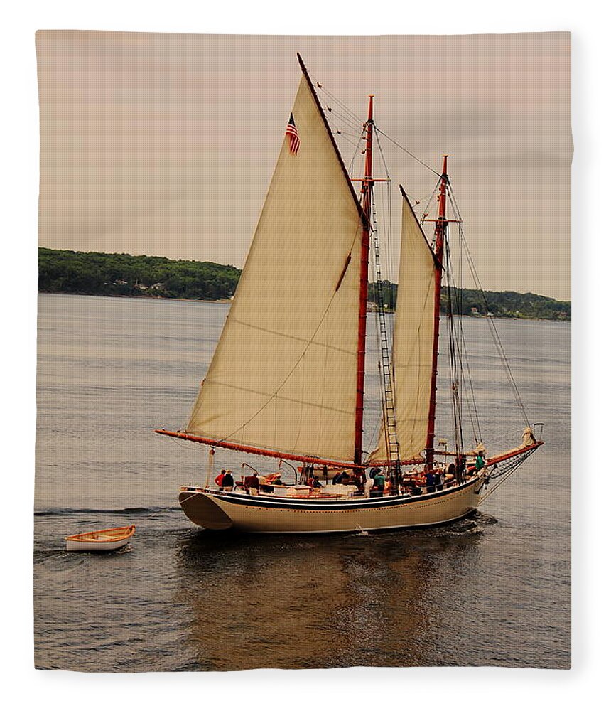 Seascape Fleece Blanket featuring the photograph American Eagle Inbound by Doug Mills
