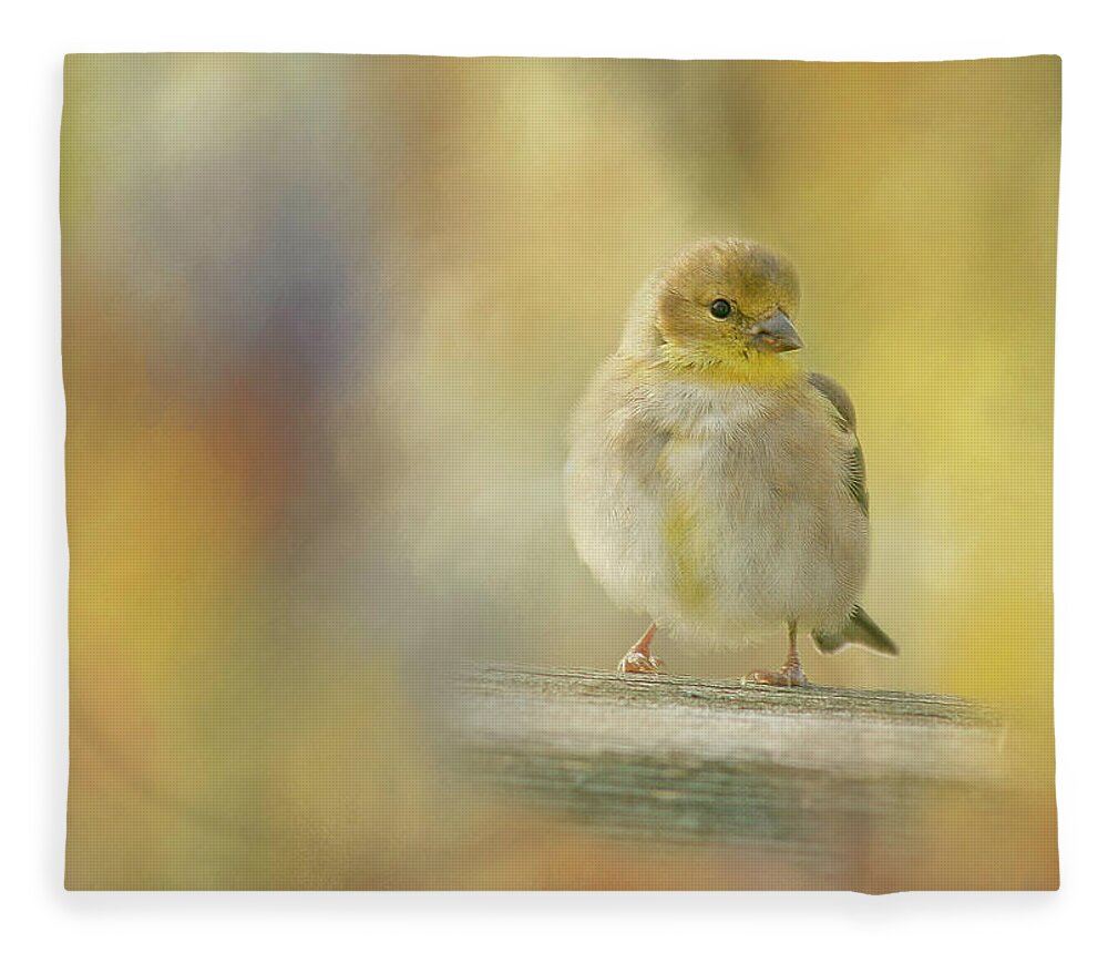 American Goldfinch Fleece Blanket featuring the photograph American Goldfinch by Cindi Ressler