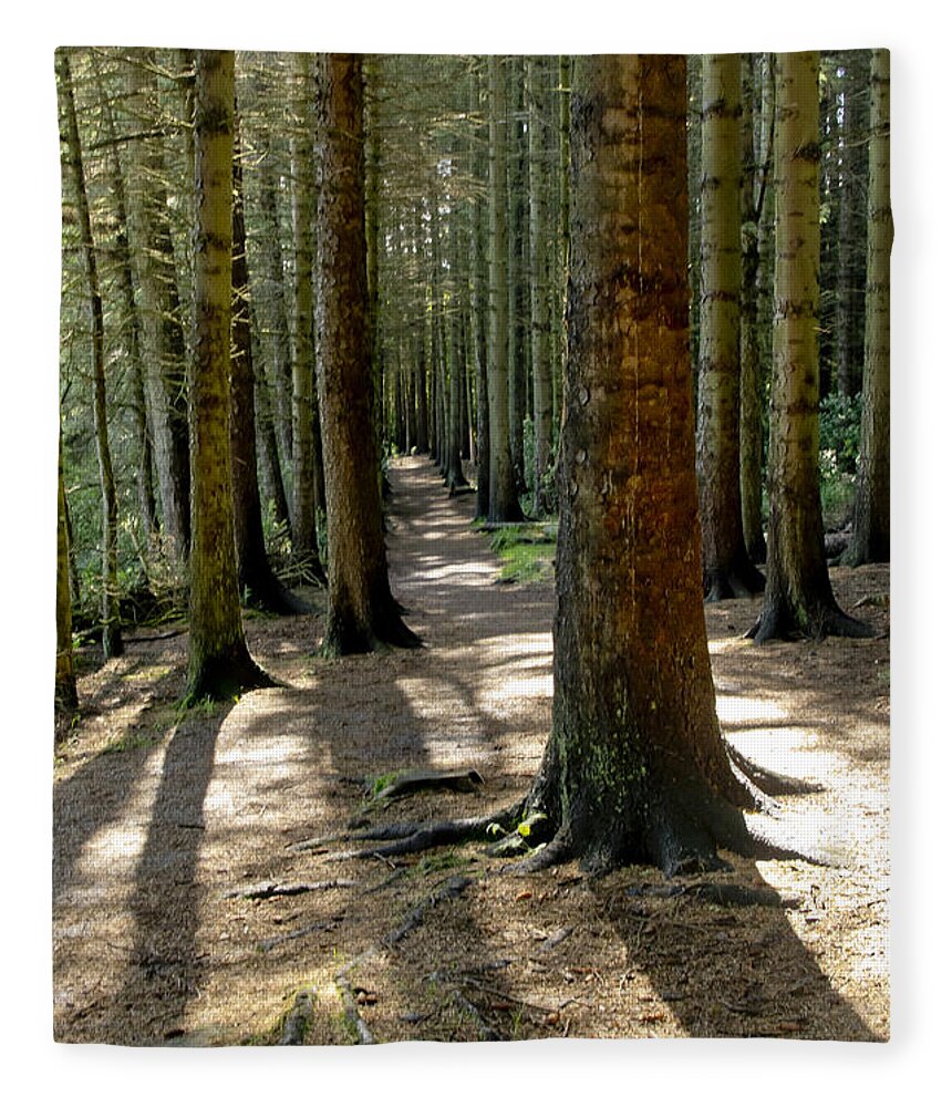 Beecraigs Fleece Blanket featuring the photograph Among forest trunks by Elena Perelman