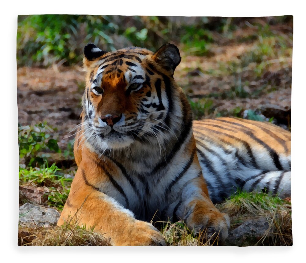 Amur Fleece Blanket featuring the mixed media Amur Tiger 8 by Angelina Tamez