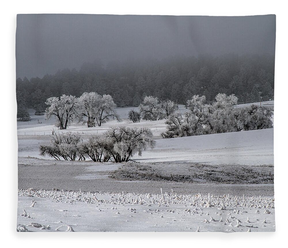 Winter Fleece Blanket featuring the photograph An Affair of Cottonwoods by Alana Thrower