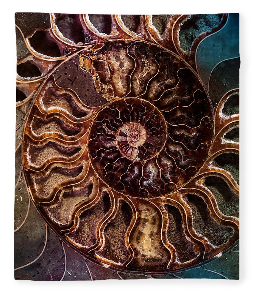  Fleece Blanket featuring the photograph An ancient shell by Jaroslaw Blaminsky