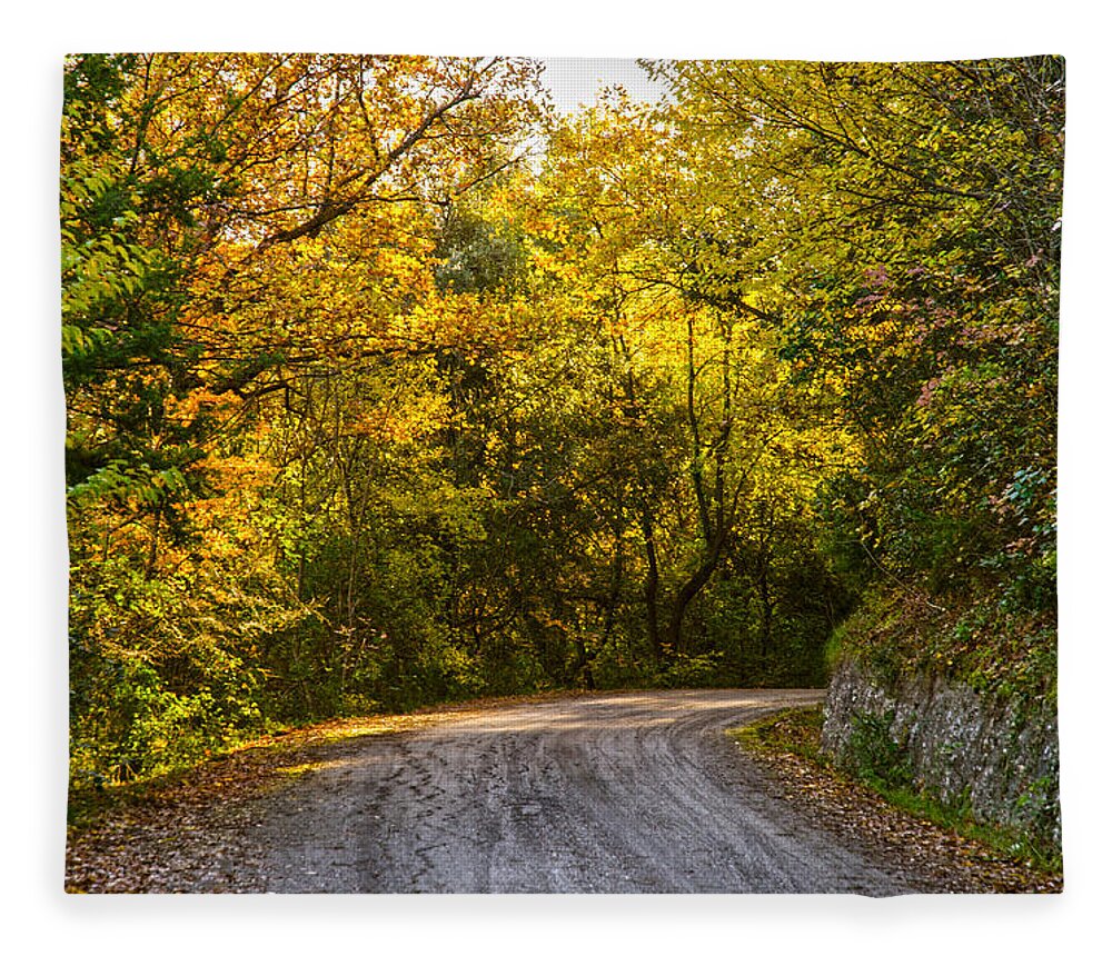 Fall Fleece Blanket featuring the photograph An autumn landscape - HDR 2 by AM FineArtPrints