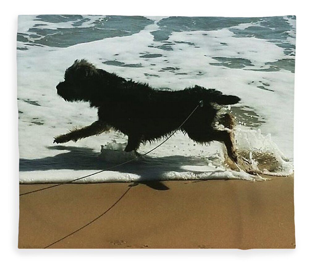 Dog Fleece Blanket featuring the photograph Seaside Frolics by Rowena Tutty