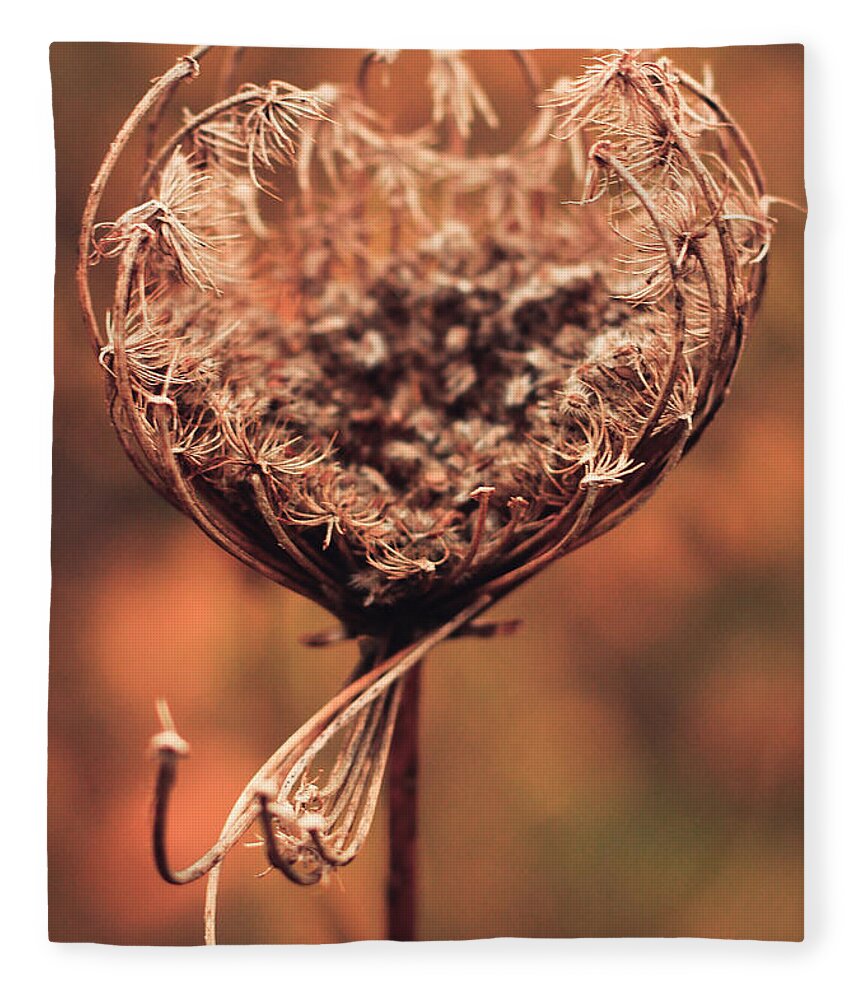 Flower Fleece Blanket featuring the photograph An Invite by Viviana Nadowski