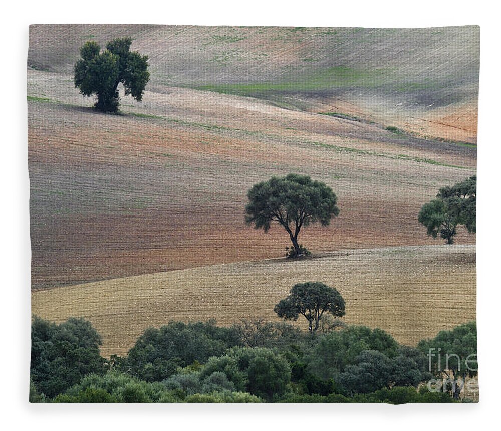 Landscape Fleece Blanket featuring the photograph Andalusian Landscape by Heiko Koehrer-Wagner