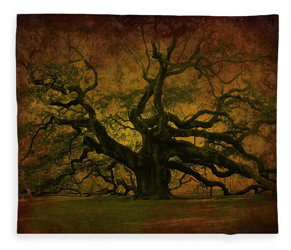 Angel Oak Fleece Blanket featuring the photograph Angel Oak 3 Charleston by Susanne Van Hulst