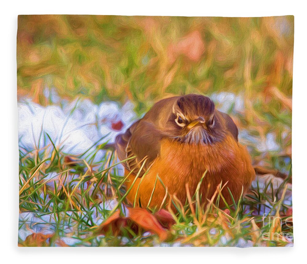 Nature Fleece Blanket featuring the photograph Angry Bird by Sharon McConnell
