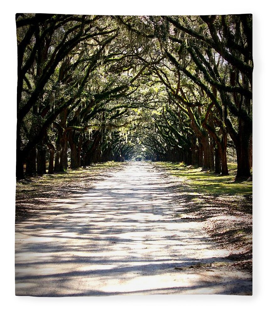 Live Oaks Fleece Blanket featuring the photograph Anticipation by Carol Groenen