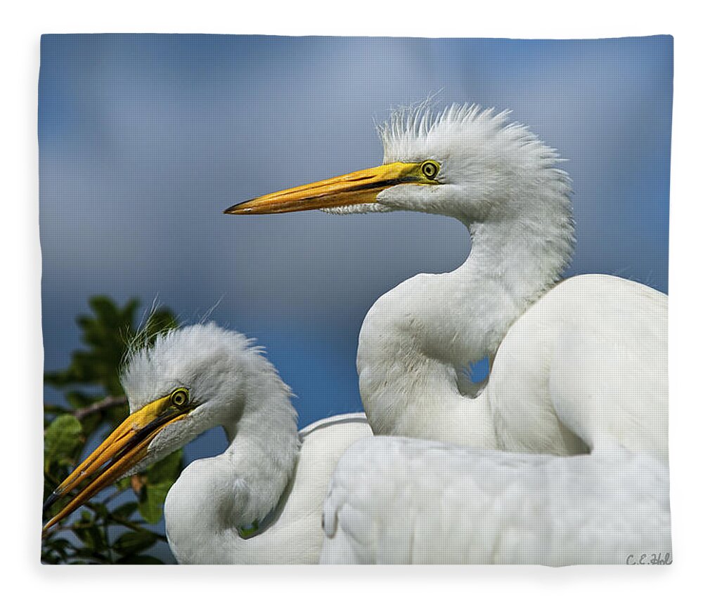 Egret Fleece Blanket featuring the photograph Anxiously Waiting by Christopher Holmes