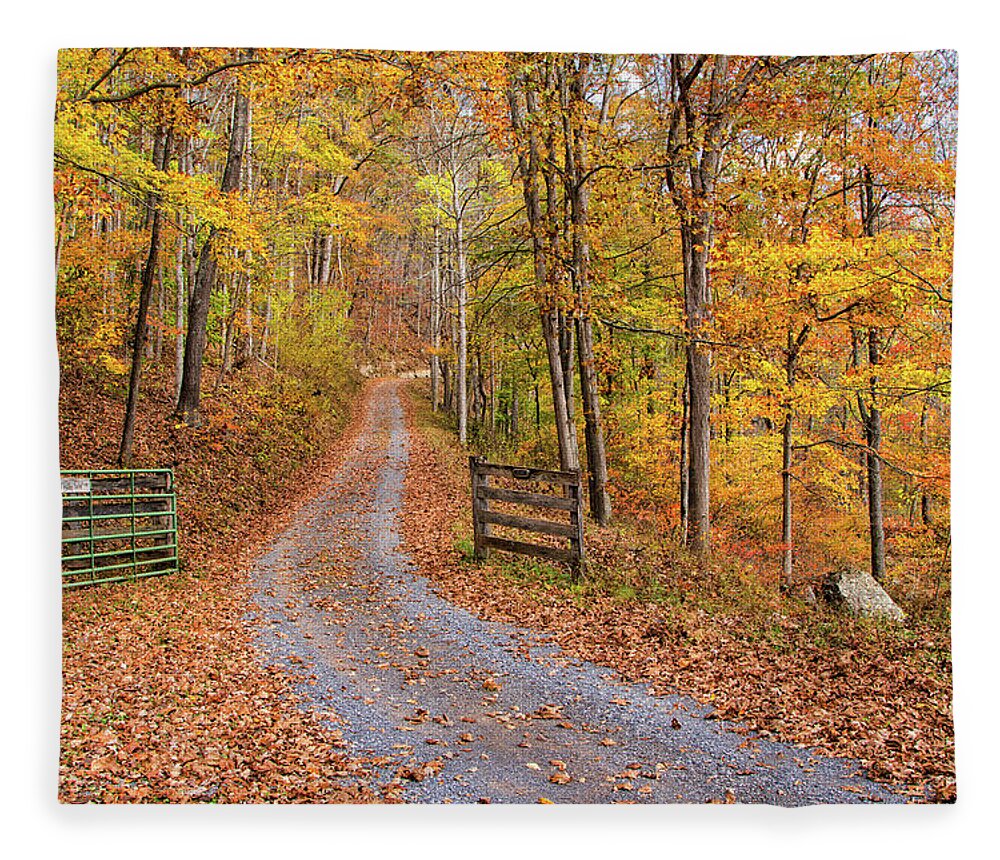 Fall Foliage Fleece Blanket featuring the photograph Appalachian Autumn by Jurgen Lorenzen