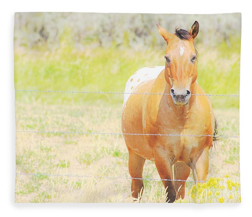 Horse Fleece Blanket featuring the photograph Appaloosa by Merle Grenz