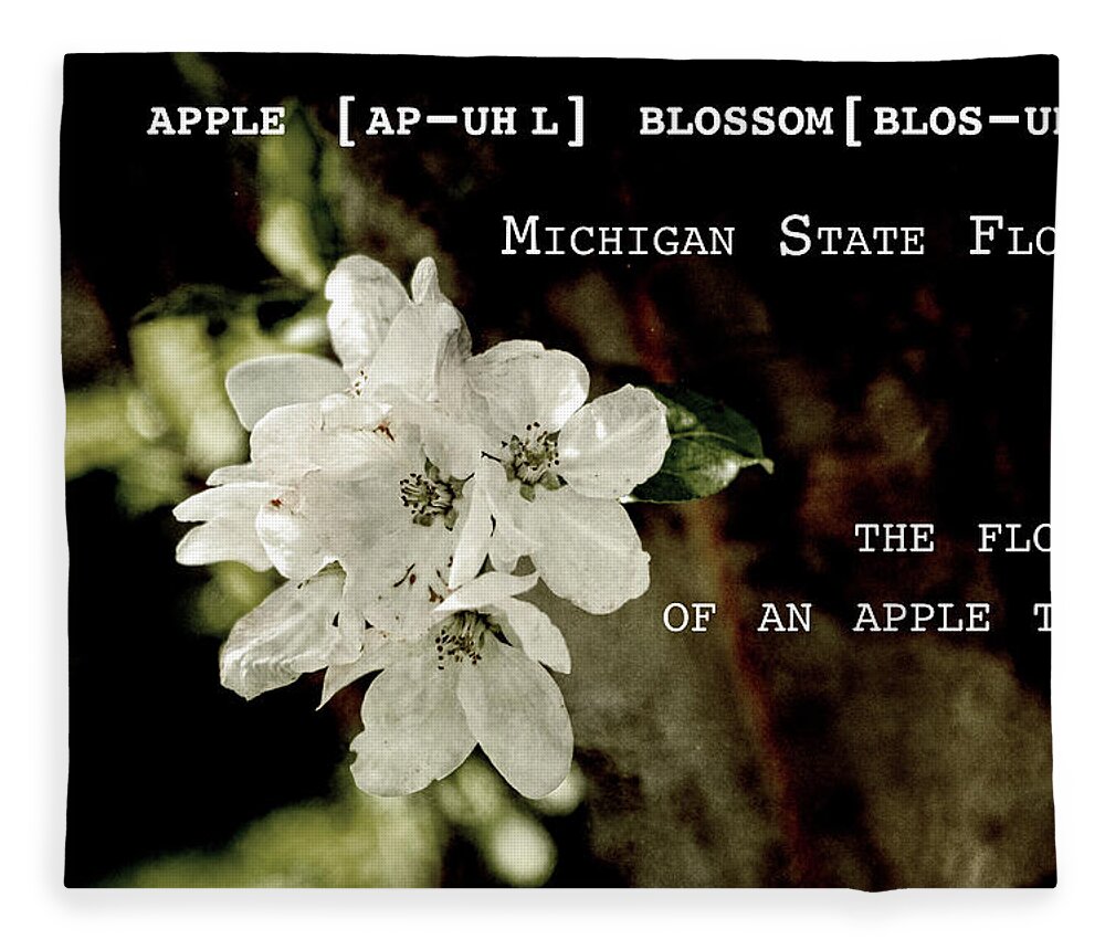 Apple Blossom Fleece Blanket featuring the photograph Apple Blossom by Definition Michigan by Sharon Popek