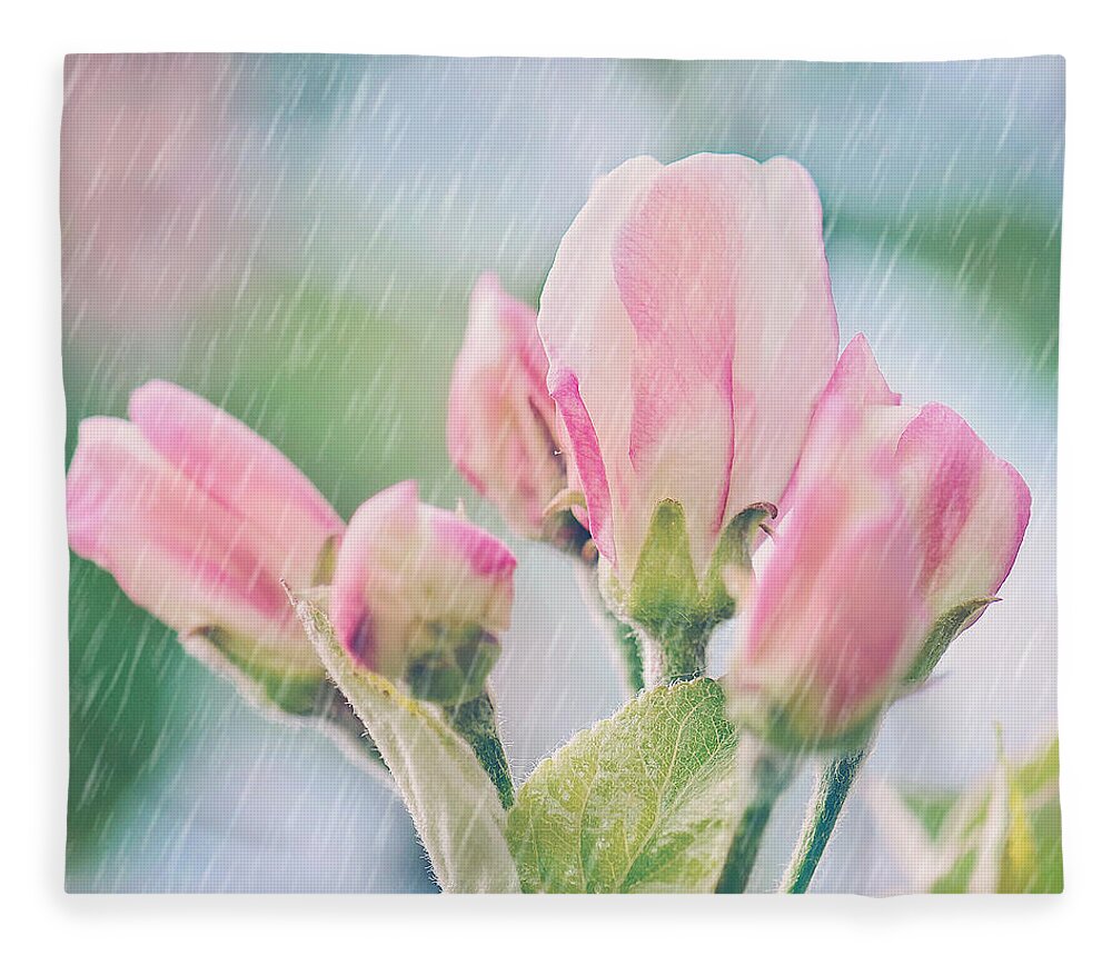 Apple Blossoms In The Rain Print Fleece Blanket featuring the photograph Apple Blossoms in the Rain 12x12 Crop Print by Gwen Gibson