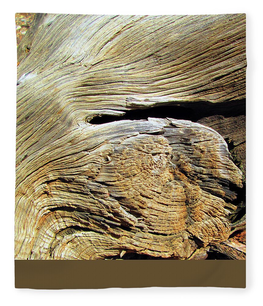 Arizona Fleece Blanket featuring the photograph Arizona Desert Gnarly Tree Texture by Ilia -