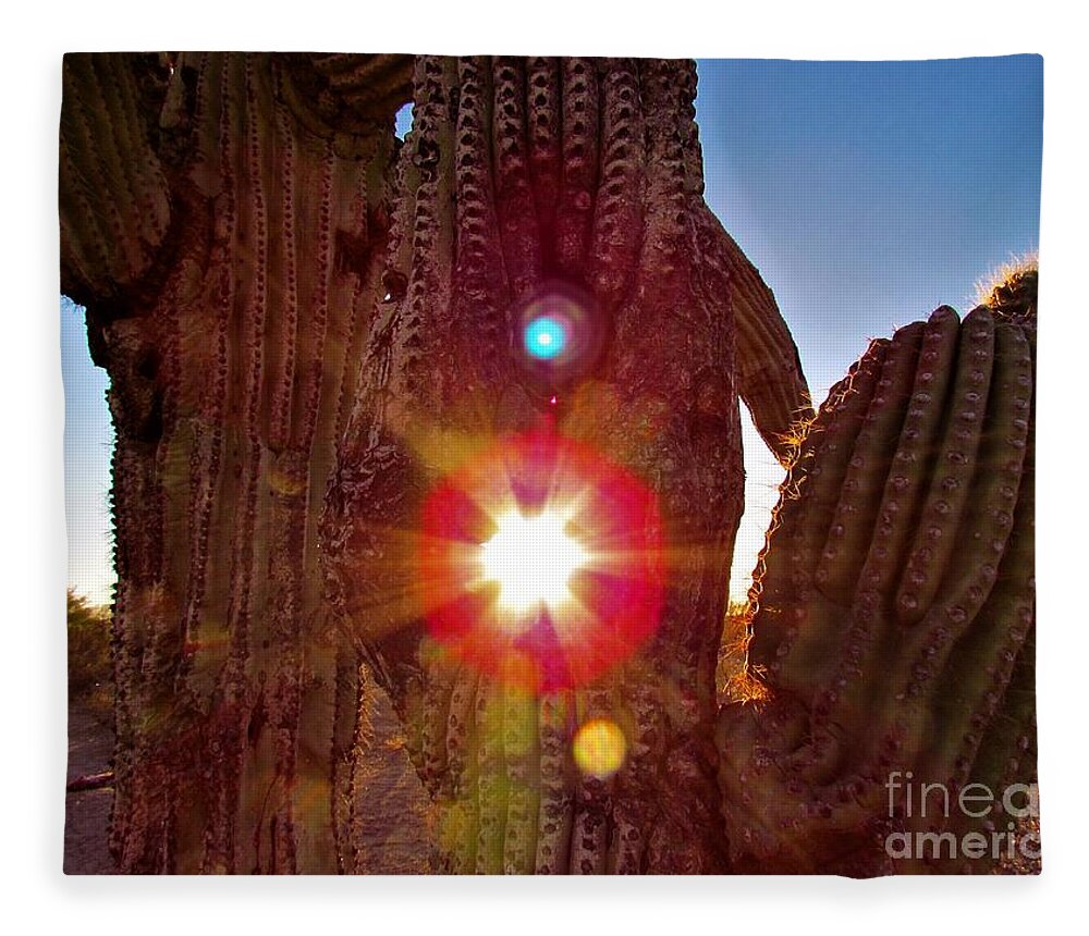 Photograph Fleece Blanket featuring the photograph Arizona Prime Cactus Sunset by Delynn Addams