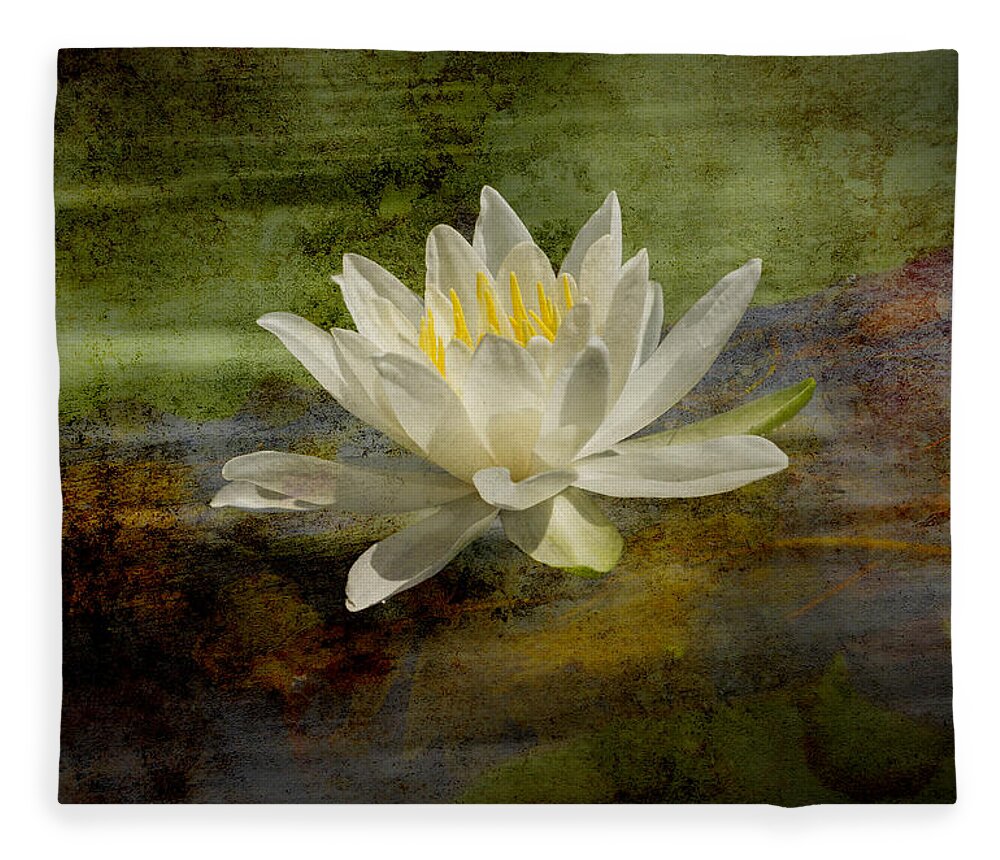 Fragrant Water Lily Fleece Blanket featuring the photograph Artistic Fragrant Water Lily by Thomas Young