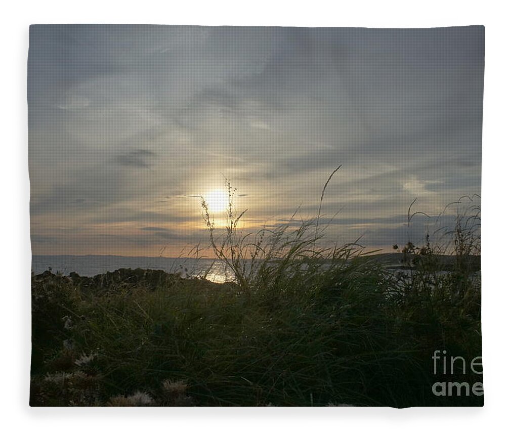 Setting Sun Fleece Blanket featuring the photograph As grass under the sun by Elena Perelman