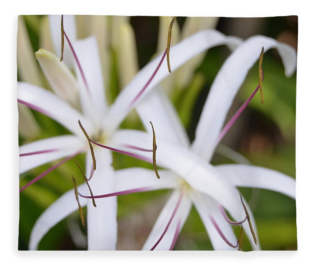 Kauai Fleece Blanket featuring the photograph Asiatic Poison Lily 2 by Amy Fose