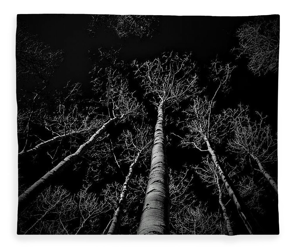 Aspen Trees Fleece Blanket featuring the photograph Aspen Winter by Michael Brungardt