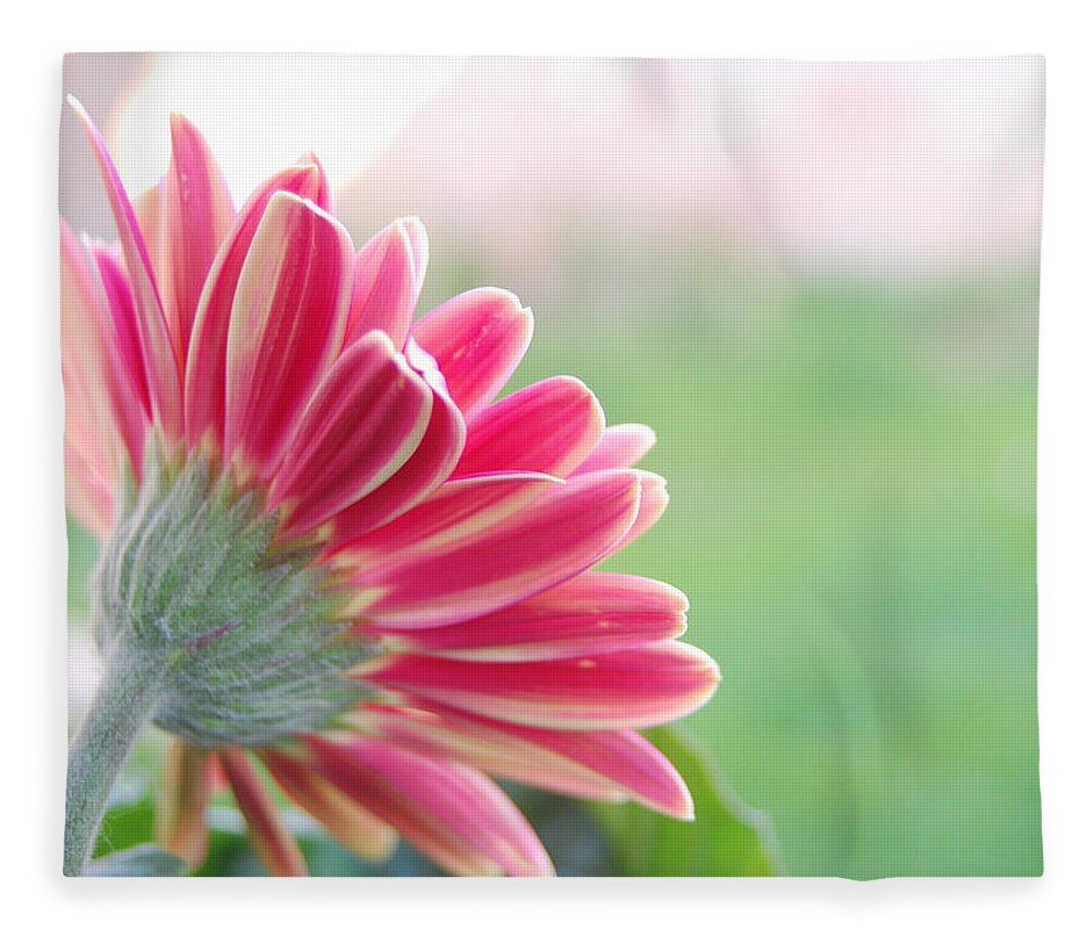 Flower Fleece Blanket featuring the photograph Aspiring by Amy Fose