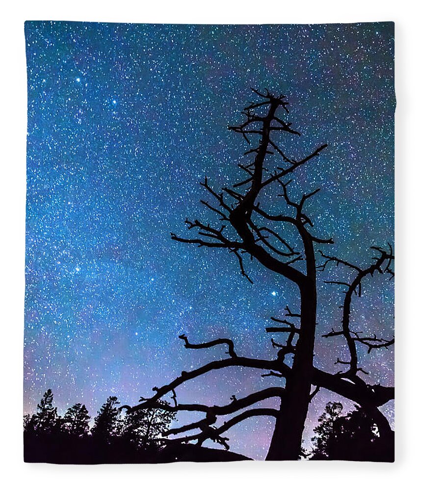 Sky Fleece Blanket featuring the photograph Astrophotography Night by James BO Insogna