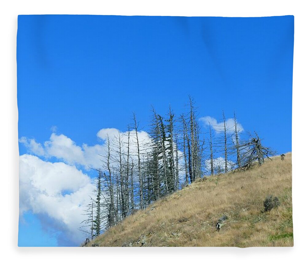 Nature Fleece Blanket featuring the photograph At the End of the World by Ivana Westin