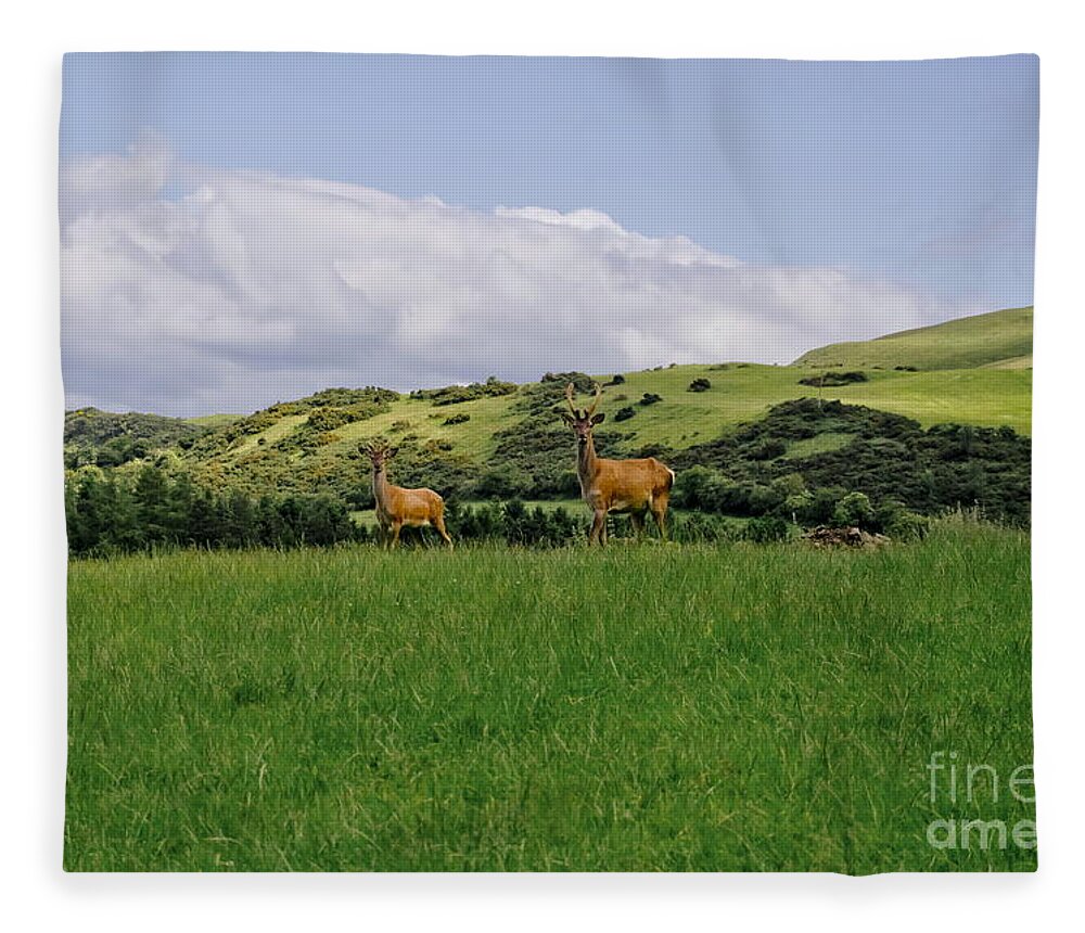 Beecraigs Fleece Blanket featuring the photograph At the hill bottom. by Elena Perelman