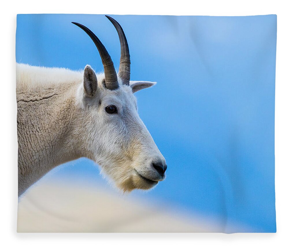 Mountain Goat Fleece Blanket featuring the photograph At The Top Of The Rockies #1 by Mindy Musick King