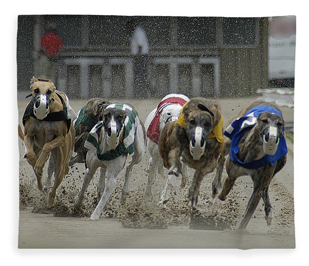 Greyhounds Fleece Blanket featuring the photograph At The Track by DArcy Evans