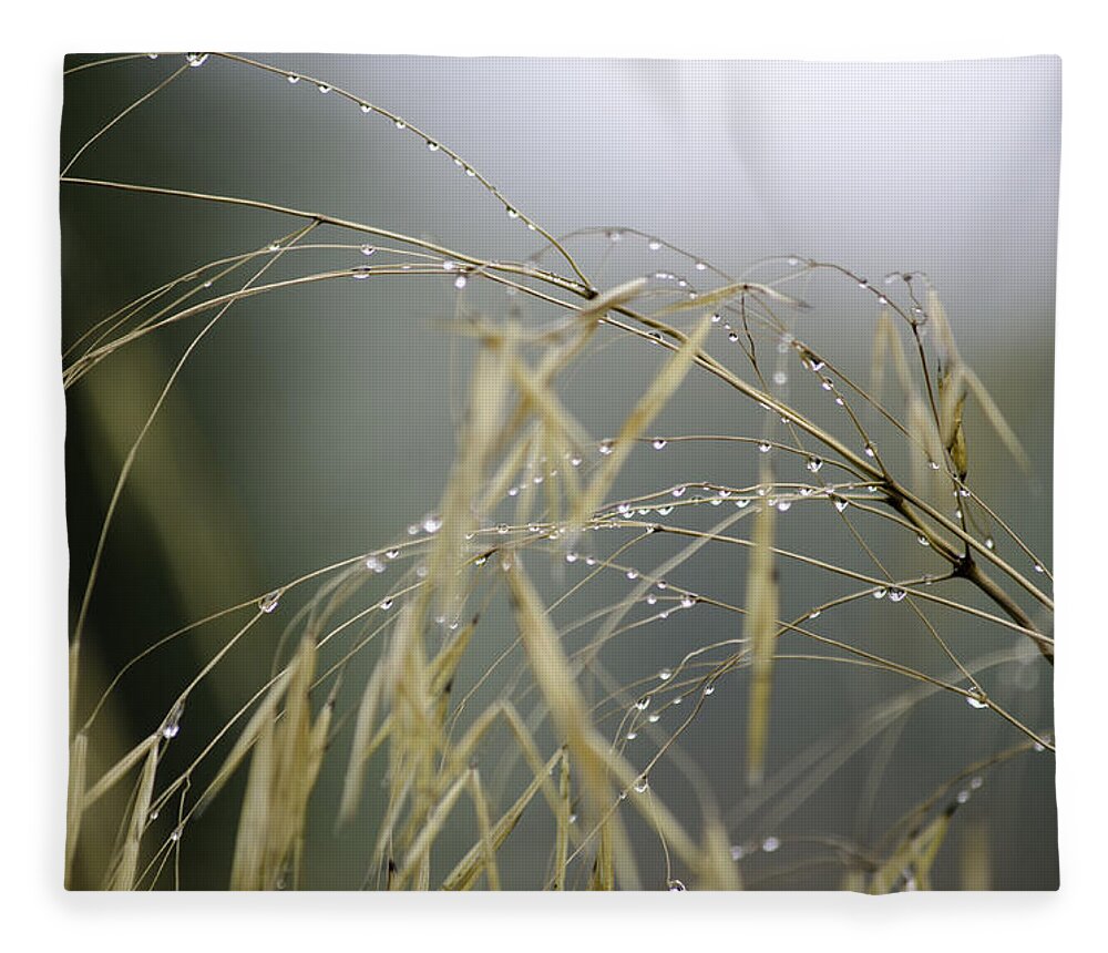 Autumn Fleece Blanket featuring the photograph Autumn dew on grass by Spikey Mouse Photography