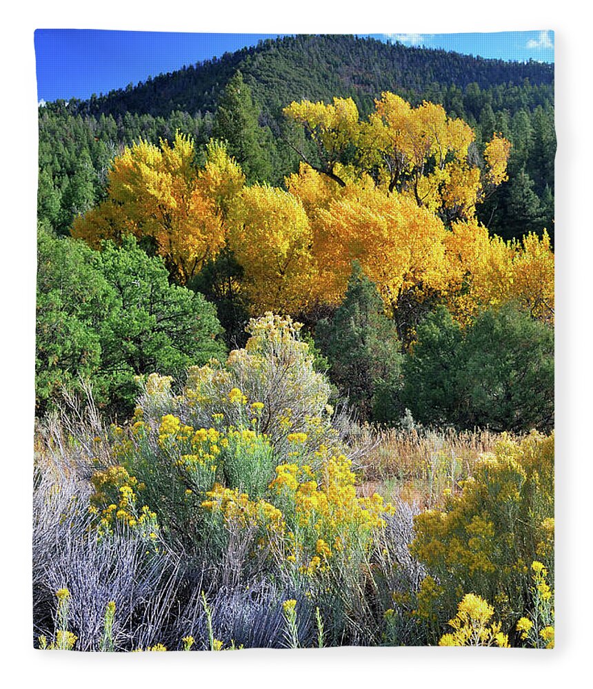 Landscape Fleece Blanket featuring the photograph Autumn In The Canyon by Ron Cline