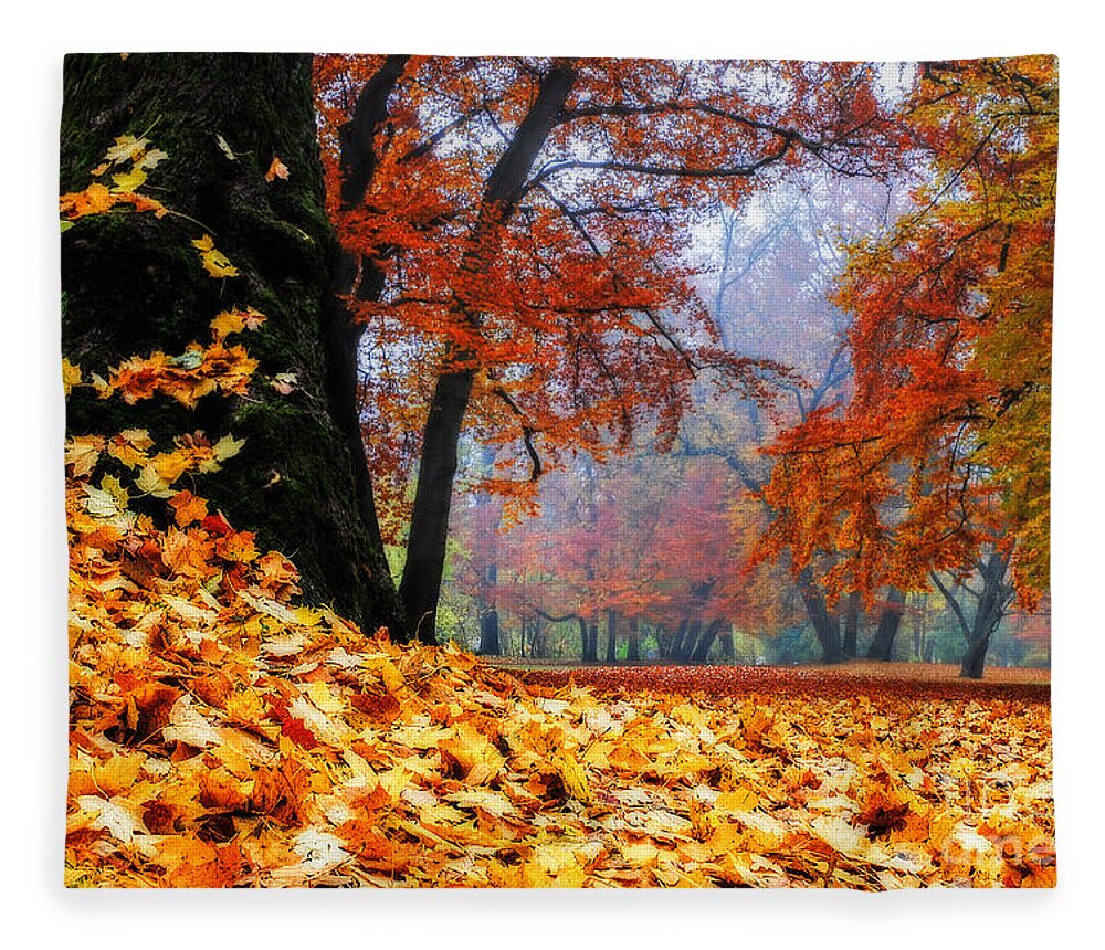 Autumn Fleece Blanket featuring the photograph Autumn In The Woodland by Hannes Cmarits