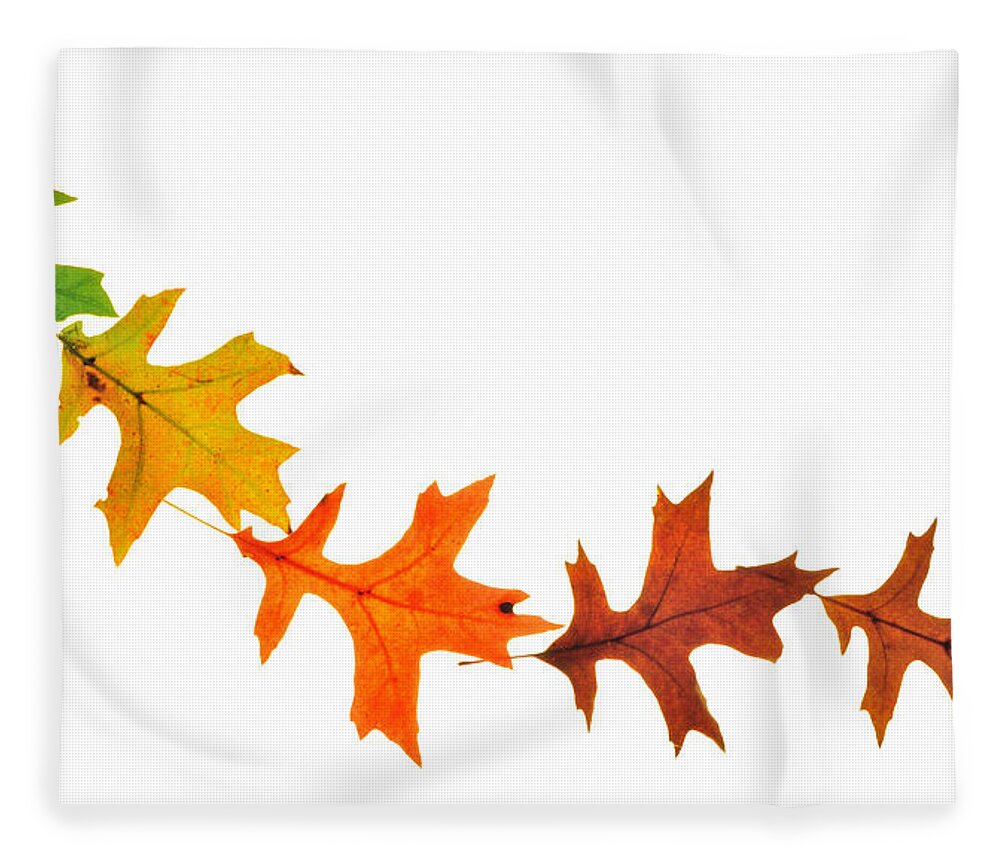 Leaves Fleece Blanket featuring the photograph Autumn Leaves 1 by Mark Fuller