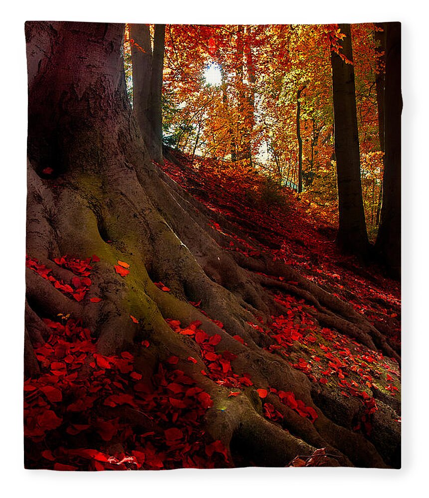 Autumn Fleece Blanket featuring the photograph Autumn Light by Hannes Cmarits