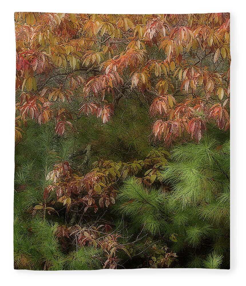 Leaves Fleece Blanket featuring the photograph Autumn Mixing by Mike Eingle
