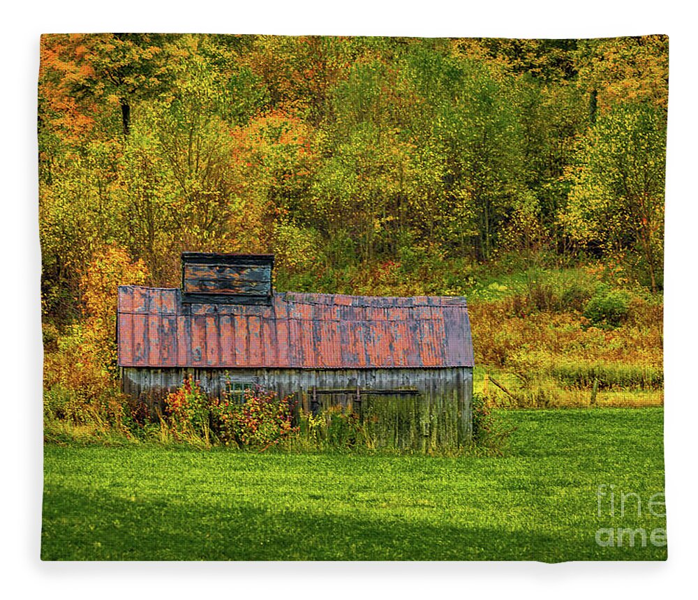 Adirondacks Fleece Blanket featuring the photograph Autumn Rain 3 by Roger Monahan