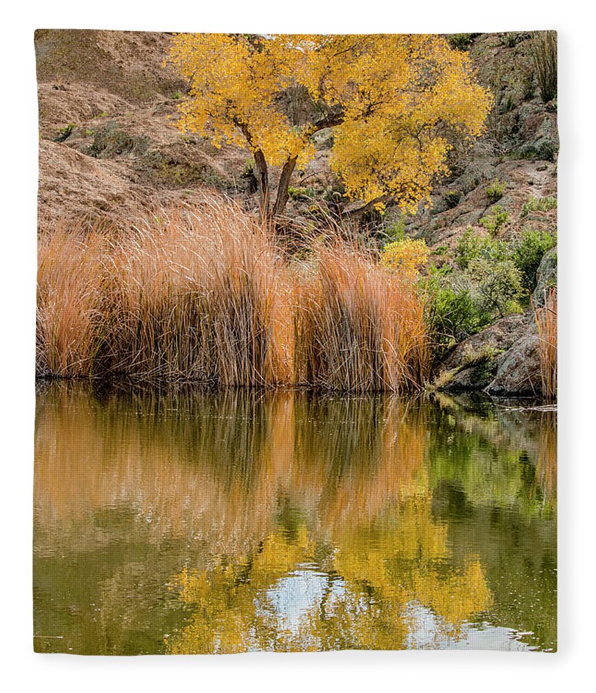 Tree Fleece Blanket featuring the photograph Autumn Reflection at Boyce Thompson Arboretum by Teresa Wilson