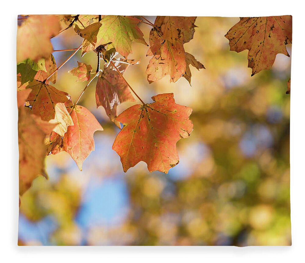 Autumn Fleece Blanket featuring the photograph Autumn Splendor by Holly Ross